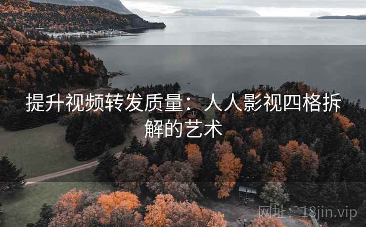 提升视频转发质量：人人影视四格拆解的艺术